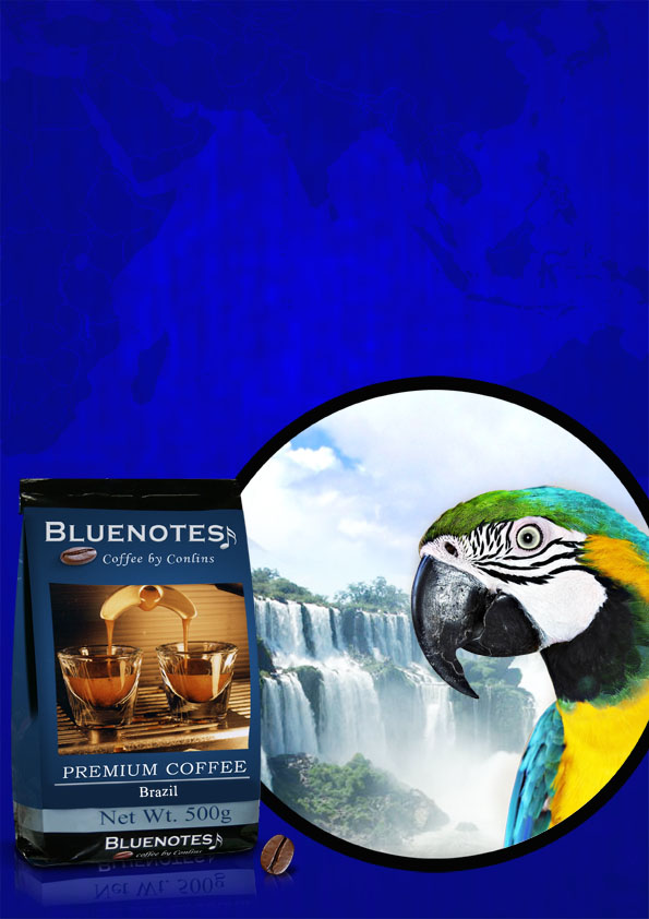 brazil image