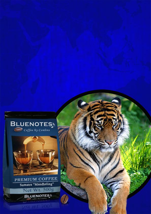sumatra